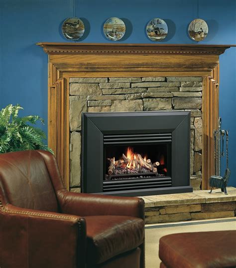 natural gas freestanding fireplace with blower